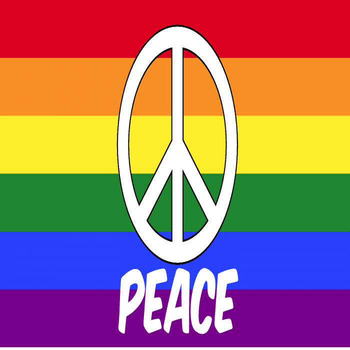 Rainbow Peace Custom Banner - 12 x 24
