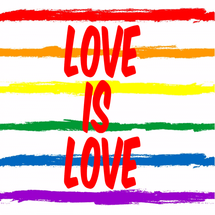 Love is Love Custom Banner - 12 x 24