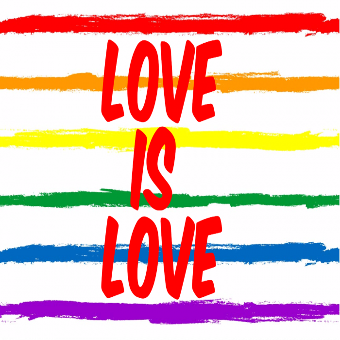 Love is Love Custom Banner - 18 x 36 Love is Love Custom Banner - 18 x 36