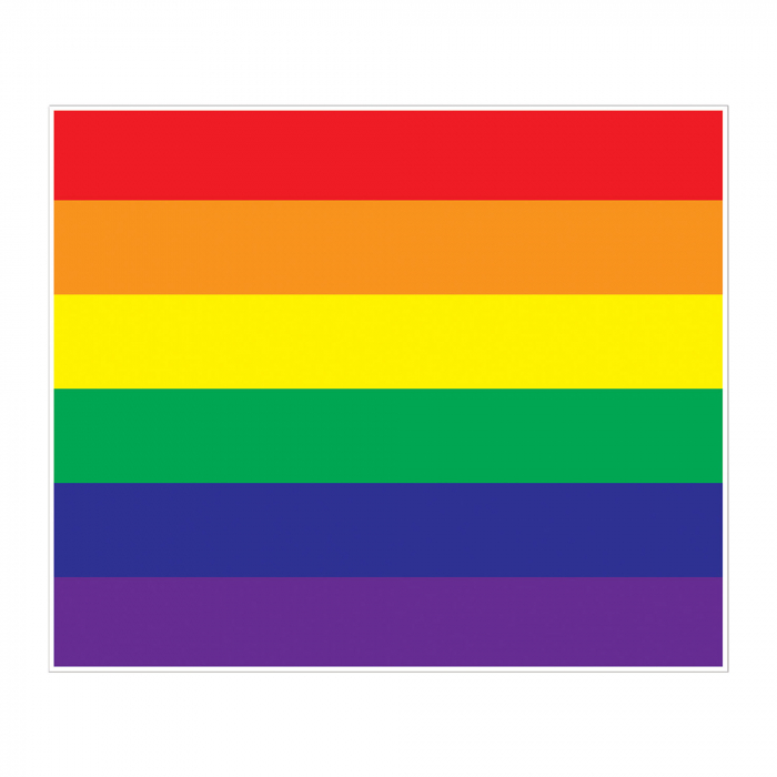 Rainbow 6' Photo Backdrop Rainbow 6' Photo Backdrop