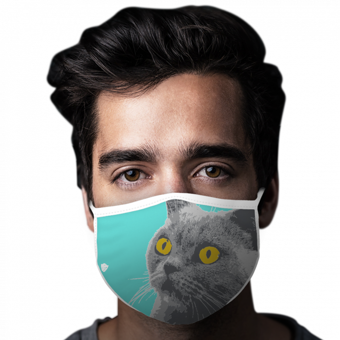 Wondering Cat Face