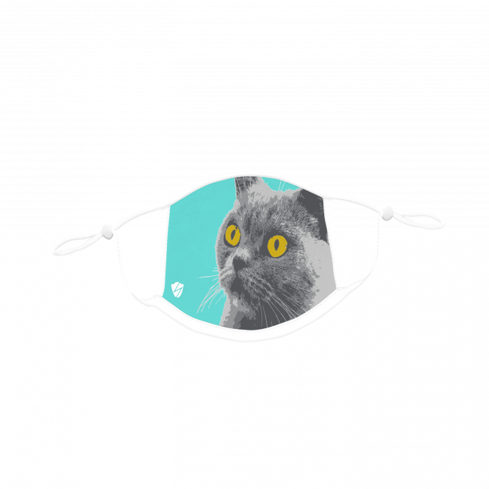 Wondering Cat Face