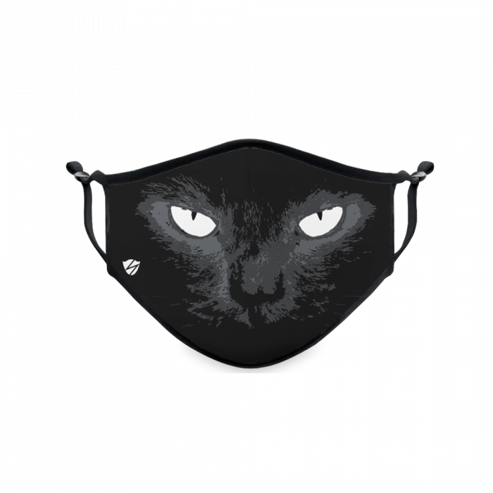 Black Cat With Bright Eyes Black Cat With Bright Eyes