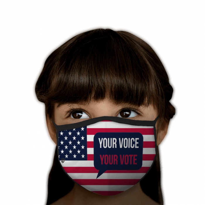 Your Voice Your Vote USA Flag