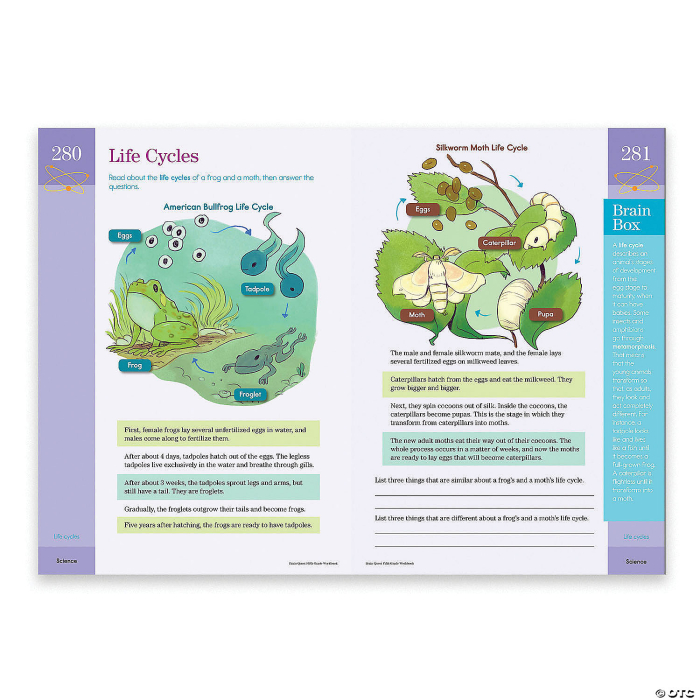 Brain Quest Workbook: Grade 5