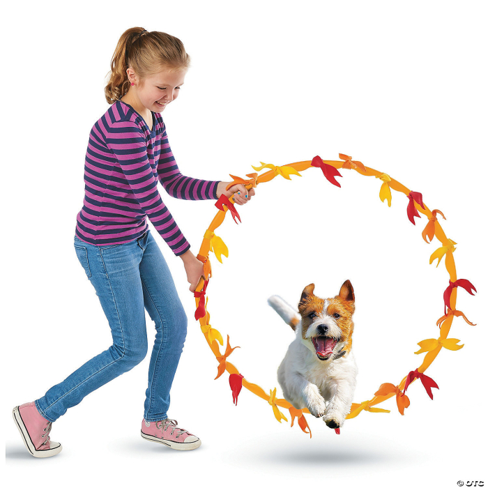 Make Your Own Doggy Day Camp