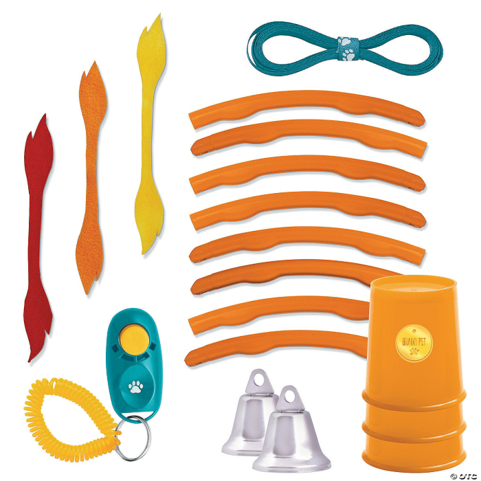 Make Your Own Doggy Day Camp